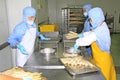 Workers in the food processing production line