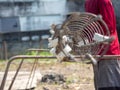 Workers hands put on gloves using hand to iron wire to tie for structure the house or building