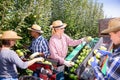 Workers harvesting ripe apples using sorting machine Royalty Free Stock Photo