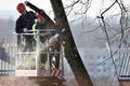 The workers with helmet working at height on the trees