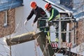 The workers with helmet working at height on the trees