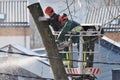 The workers with helmet working at height on the trees