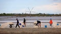 workers keeping salt from farm