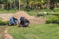 Workers laying sod grass for new garden lawn Royalty Free Stock Photo