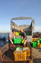 Workers are loading forage fish onto the truck to the feed mill in Lagi seaport Royalty Free Stock Photo