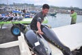 Workers are loading tuna onto truck to the seafood factory in General Santos city