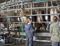 workers at the milk rotary stations on a farm