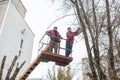 Workers in the municipal utilities cut tree branches. Trimming tree branches interfering with power wires Royalty Free Stock Photo