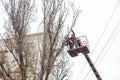 Workers in the municipal utilities cut tree branches. Trimming tree branches interfering with power wires Royalty Free Stock Photo
