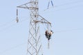 Workers over a high tension tower making reparations. Royalty Free Stock Photo