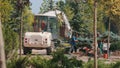 Workers plant a tree in the city. A large tree is planted in the city. Greening of the city. Landshaft design.