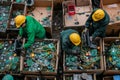 Workers processing electronic waste recycling. Focus on reusing materials. This environmental concept in the style of Royalty Free Stock Photo