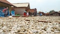 Workers processing fish in the fish drying industry Royalty Free Stock Photo