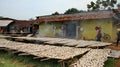 Workers processing fish in the fish drying industry Royalty Free Stock Photo