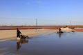 workers produced labor in salt field, Luannan, Hebei, China Royalty Free Stock Photo