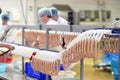 Workers in the production of original German bratwurst in a large meat processing plant in the food industry