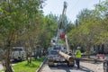 Workers Replacing Damaged Utility Poles after Hurricane Zeta