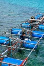 Workers settle and setup the waterworks fountain machine on the surface of the sea