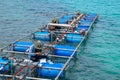 Workers settle and setup the waterworks fountain machine on the surface of the sea