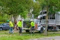 Workers Shredding Tree Branches with Industrial Wood Chipper