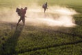 Workers spraying herbicides.