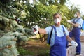 Workers spraying pesticide onto tree outdoors. Pest control