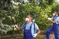 Workers spraying pesticide onto tree outdoors. Pest control