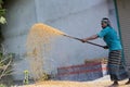 Workers spread maize crop for drying at a wholesale grain market. Royalty Free Stock Photo