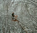 workers work on the street on a car winter landscape Minsk Belarus