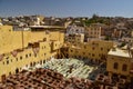 Tannery in Fes, Morocco Royalty Free Stock Photo