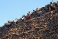 African Roofers at Work