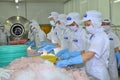 Workers are testing the color of pangasius fish in a seafood processing plant in Tien Giang, a province in the Mekong delta of Vi