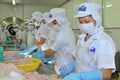 Workers are testing the color of pangasius fish in a seafood processing plant in Tien Giang, a province in the Mekong delta of Vie