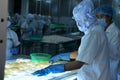 A Workers are testing the color of squids for exporting in a seafood factory in Vietnam