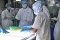 Workers are testing the color of squids for exporting in a seafood factory in Vietnam