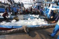 Workers transported the Ice to The Fisherman Ships Royalty Free Stock Photo