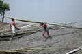 Workers unload cargo from the boat in Gosaba, India