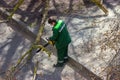 The master cuts the branches of a diseased tree