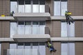 Workers using ropes to clean a high apartment building 2 Royalty Free Stock Photo