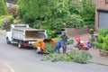 Workers use a wood shredder after trimming a tree, Netherlands Royalty Free Stock Photo