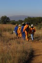 Workers walk through the bush