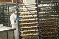 Workers work in the production line of an industry of bread, cakes and panettones in Sao Paulo