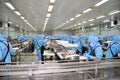 Workers are working in a seafood processing plant for exporting shrimp