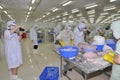 Workers are working in a seafood processing plant in Tien Giang, a province in the Mekong delta of Vietnam Royalty Free Stock Photo