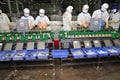 Workers are working with a shrimp sizing machine in a processing plant in Hau Giang, a province in the Mekong delta of Vietnam Royalty Free Stock Photo