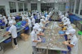 Workers are working with a shrimp sizing machine in a processing plant in Hau Giang, a province in the Mekong delta of Vietnam Royalty Free Stock Photo