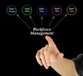 Workforce Management Royalty Free Stock Photo
