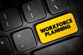 Workforce Planning - generating information, analysing it to inform future demand for people and skills, text concept button on