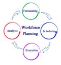 Workforce Planning Process