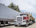 Workhorse red day cab big rig semi truck transporting logs on semi trailer running on the highway road beside with another semi Royalty Free Stock Photo